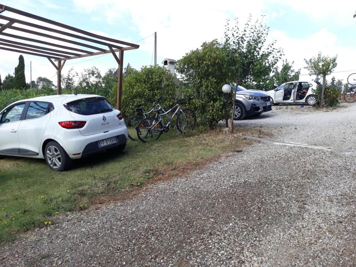 Agriturismo Podere Camollia Costalpino エクステリア 写真