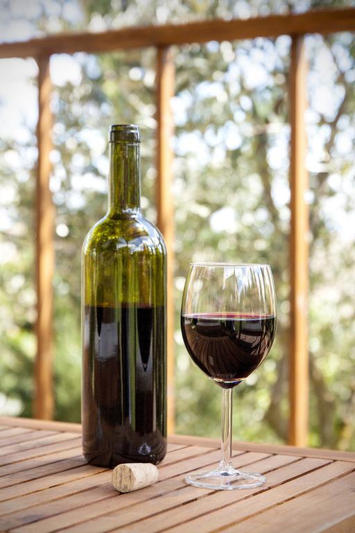 Agriturismo Podere Camollia Costalpino エクステリア 写真